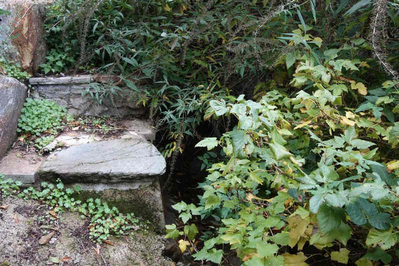 Agrandir l'image de l'arrêt de Caylus à la gare de Moulin-Mage