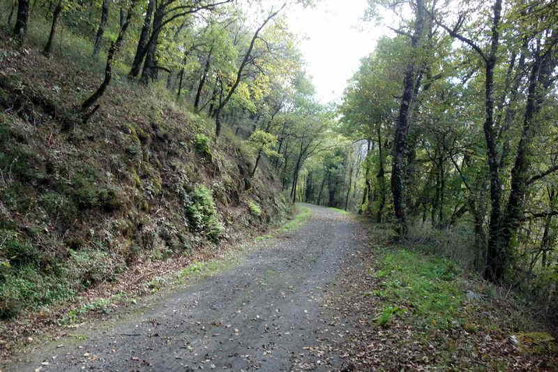 Agrandir l'image de la gare de Pierre Ségade à la halte de Gijounet