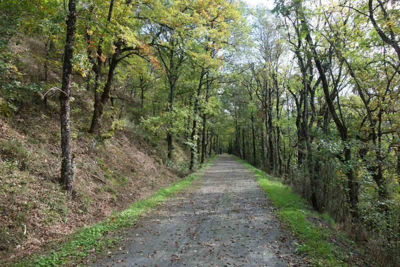 Agrandir l'image de la gare de Pierre Ségade à la halte de Gijounet