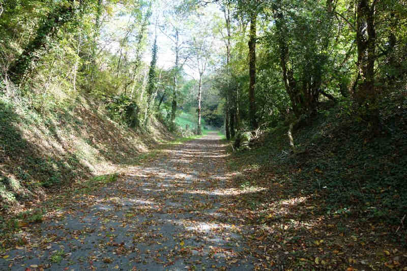 Agrandir l'image de la gare de Pierre Ségade à la halte de Gijounet