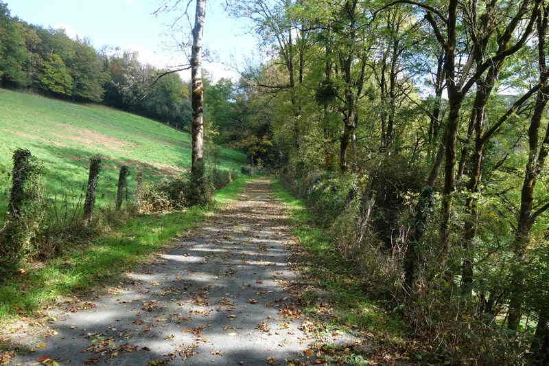 Agrandir l'image de la gare de Pierre Ségade à la halte de Gijounet