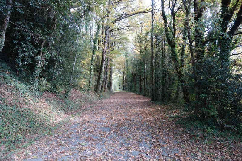 Agrandir l'image de la gare de Pierre Ségade à la halte de Gijounet