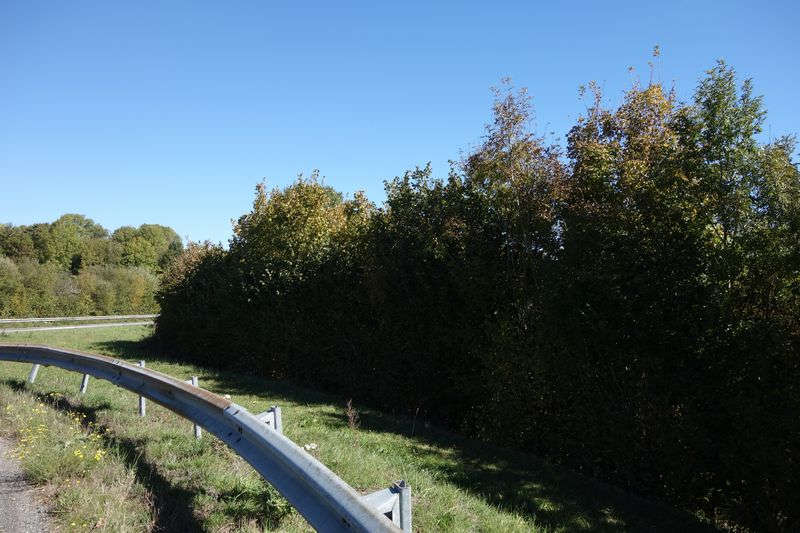 Agrandir l'image de l'arrêt de Caylus à la gare de Moulin-Mage