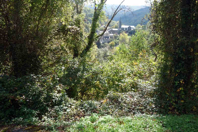 Agrandir l'image de la gare de Pierre Ségade à la halte de Gijounet