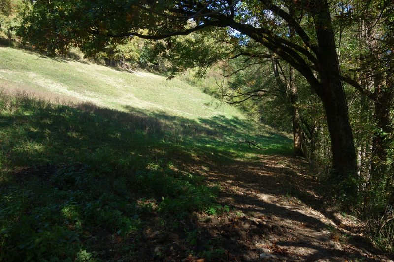 de la gare de Lacaze à l'arrêt de la Combalié