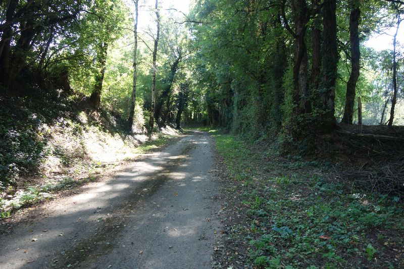 Agrandir l'image De la gare de Pierre-Ségade à la halte de Gijounet