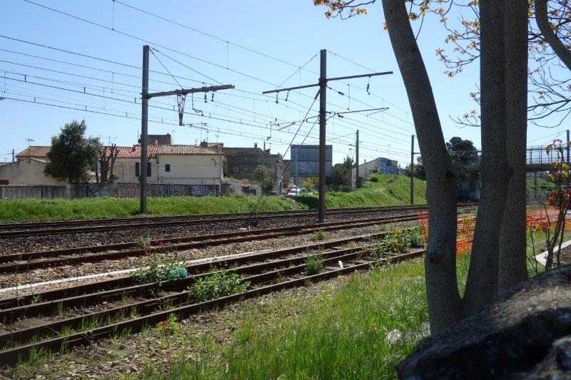 De la gare d'Arles à la halte de Mas-la-Ville