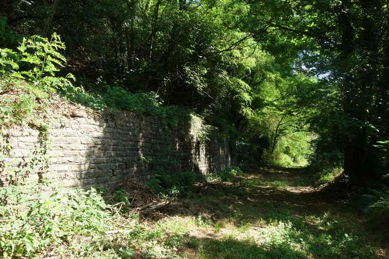 De l'arrêt facultatif de La Farelle à la gare de Saint-Hilaire-de-Lavit