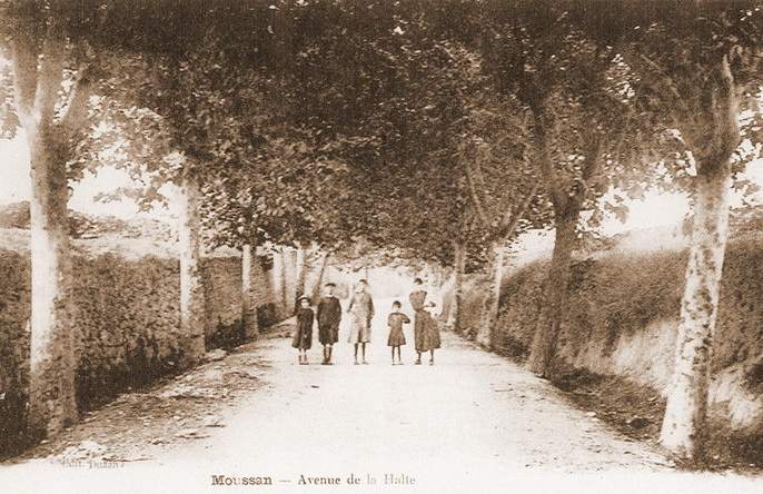 Avenue de la halte à Moussan