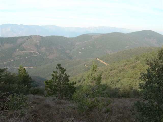 AVA1 Panorama