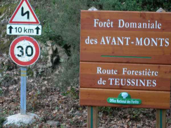 Forêt domaniale des Avant-Monts
