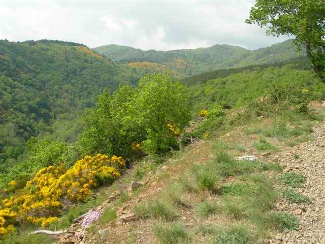 Descente sur le Col du Villaret