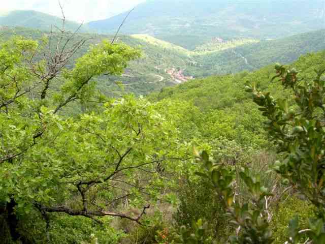 Sentier du col du Villaret