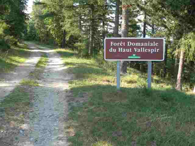 Route forestière du Vallespir