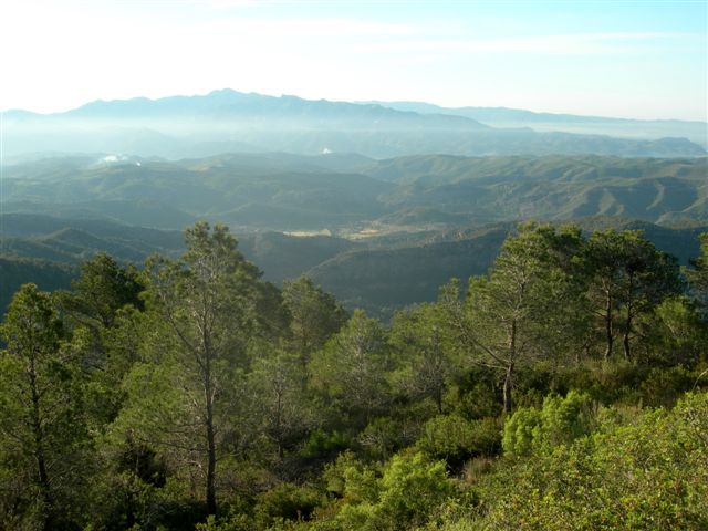 Cap de la Costa - ES-T- 484 mtres Panorama