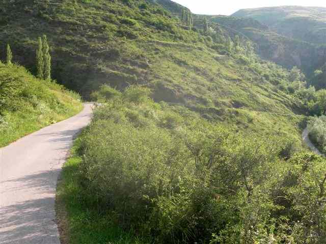 Route au-dessus de Castellar de n'Hug