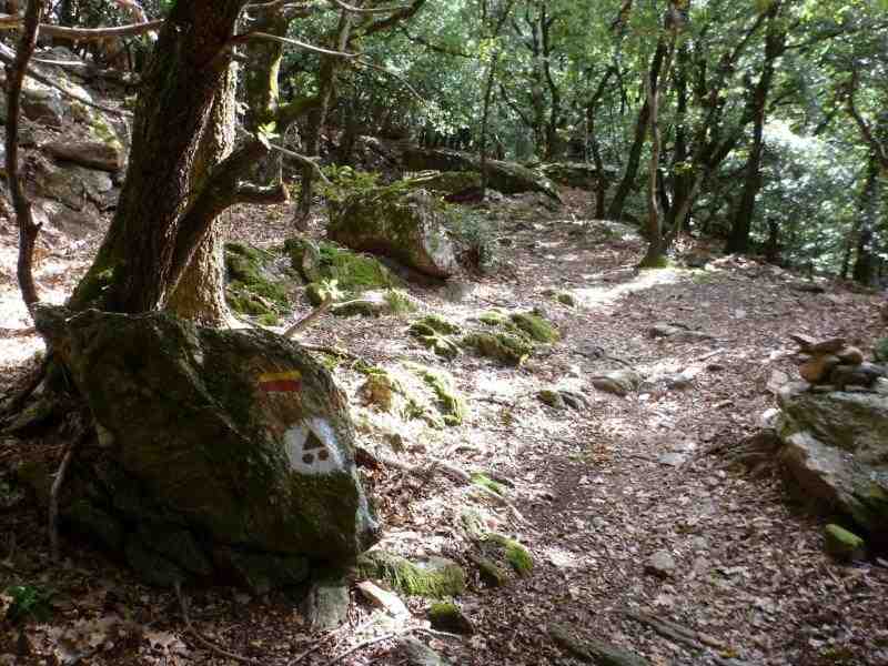 Agrandir l'image En direction du Col du Renard