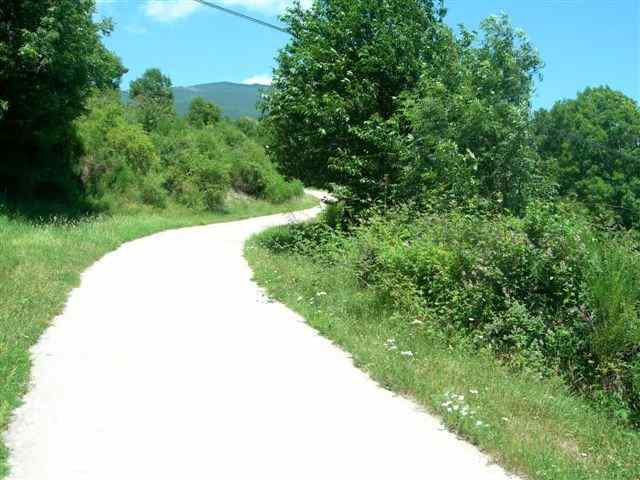 Route en direction du coll de la Casassa