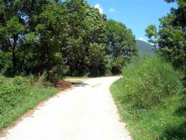 Route en direction du coll de la Casassa