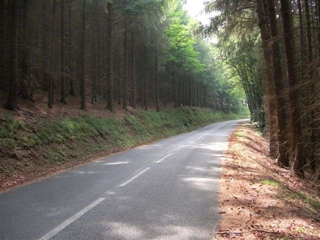Route du col de Fontfroide dans la forêt
