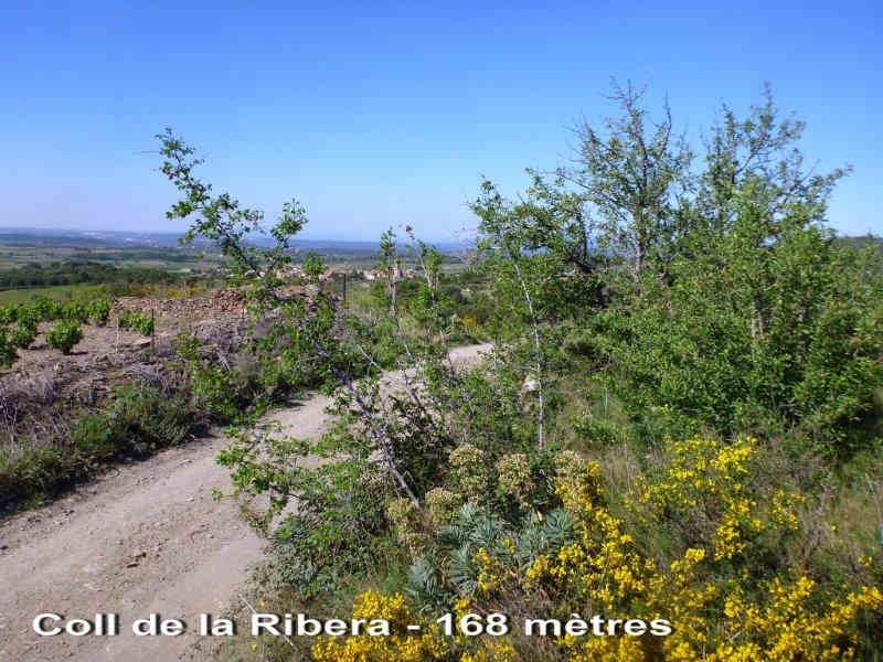 Coll de la Ribera - ES-GI-168 mètres