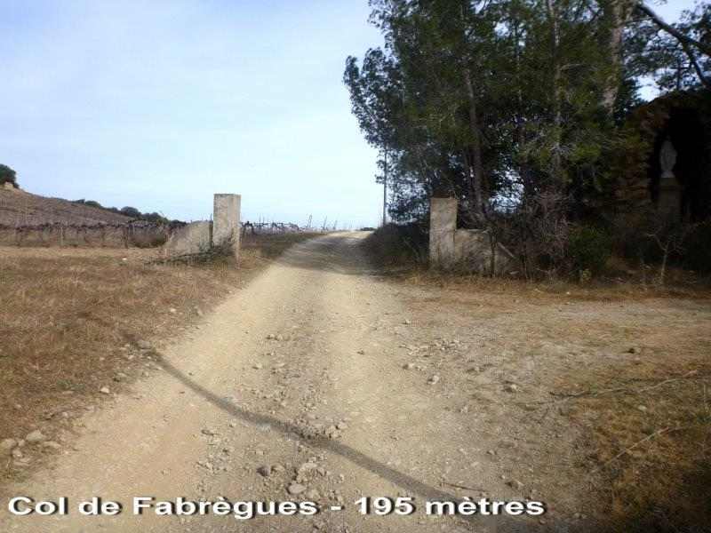 Col de Fabrègues - FR-34-0198