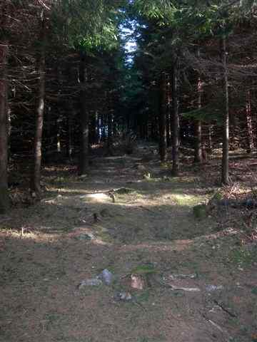 Sentier en direction du Col de Pissouillos