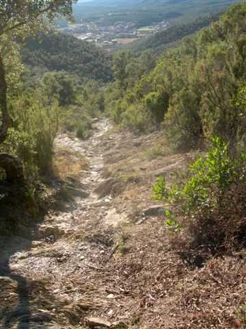 Sentier en direction du Collet dels Burros