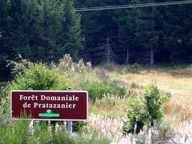 Forêt domaniale de Ptratazanier (pancarte)