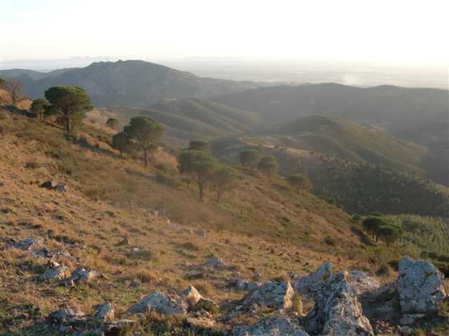 Panorama en descendant du Coll del Llop