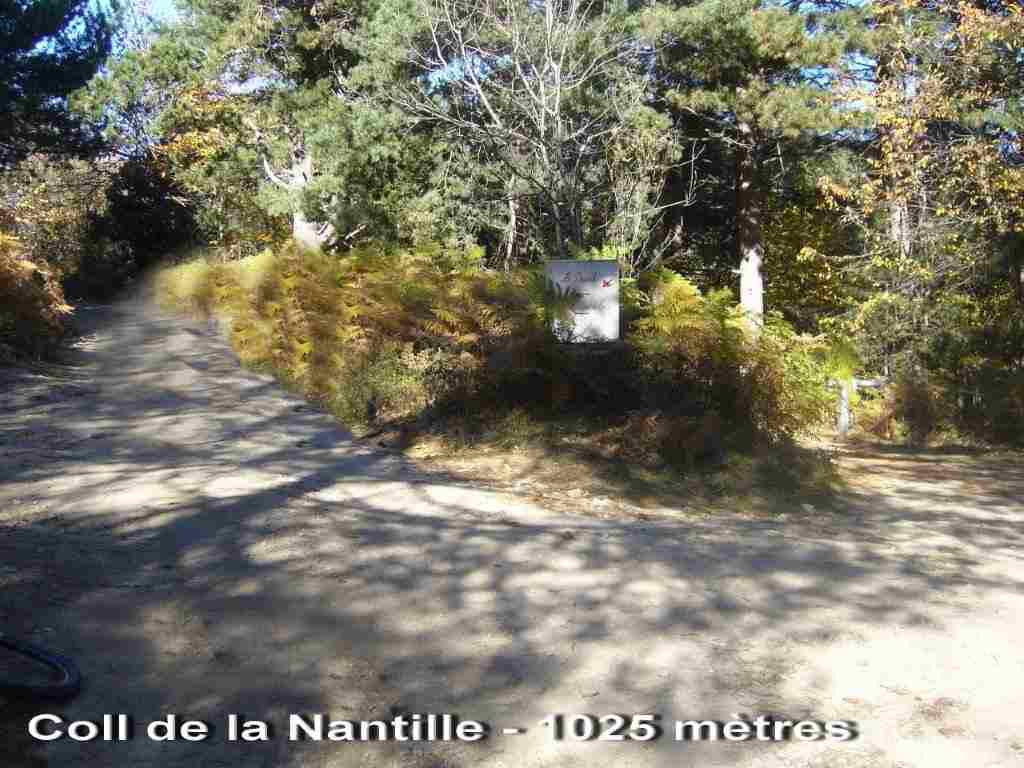 Coll de la Nantilla - FR-66-1025a