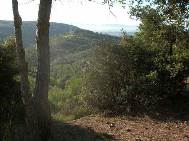 Route du Puig d'Olena : Panorama