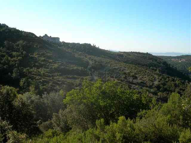 Panorama - Puigdolena