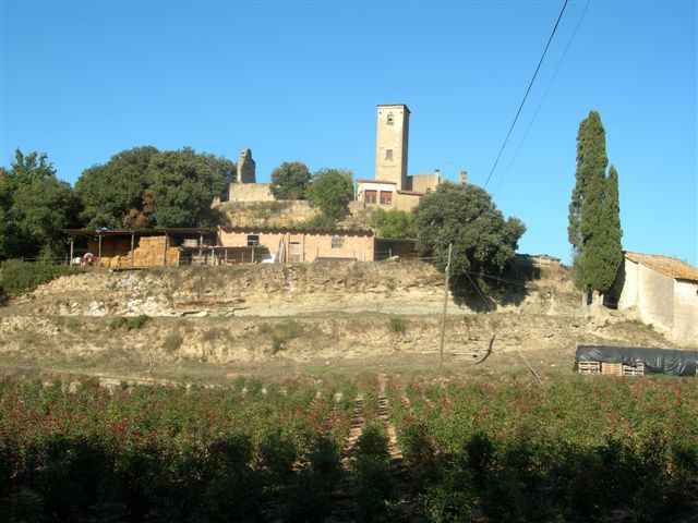 Castell de Sant Miquel à Castellterçol