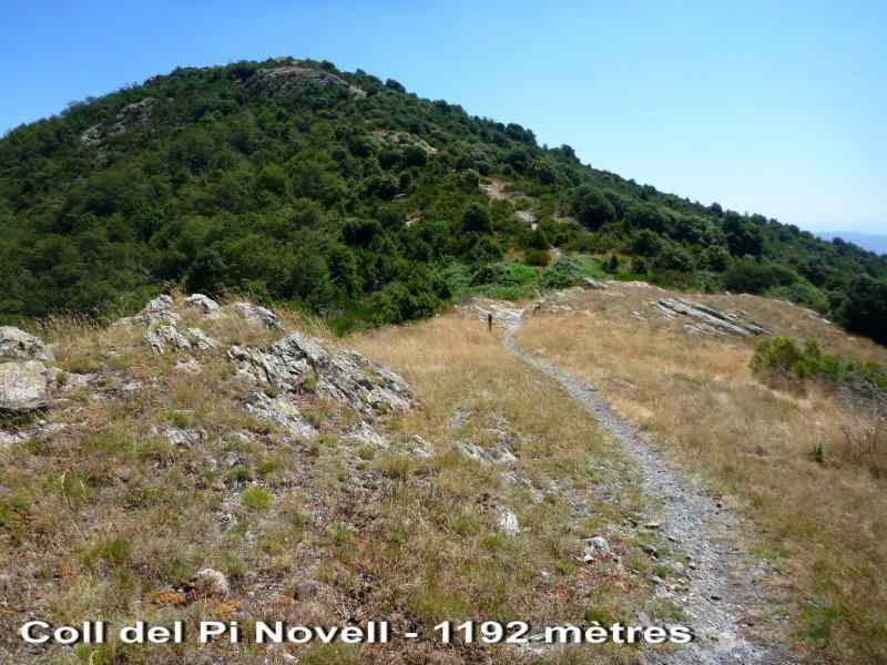 Coll del Pi Novell - ES-B-1191