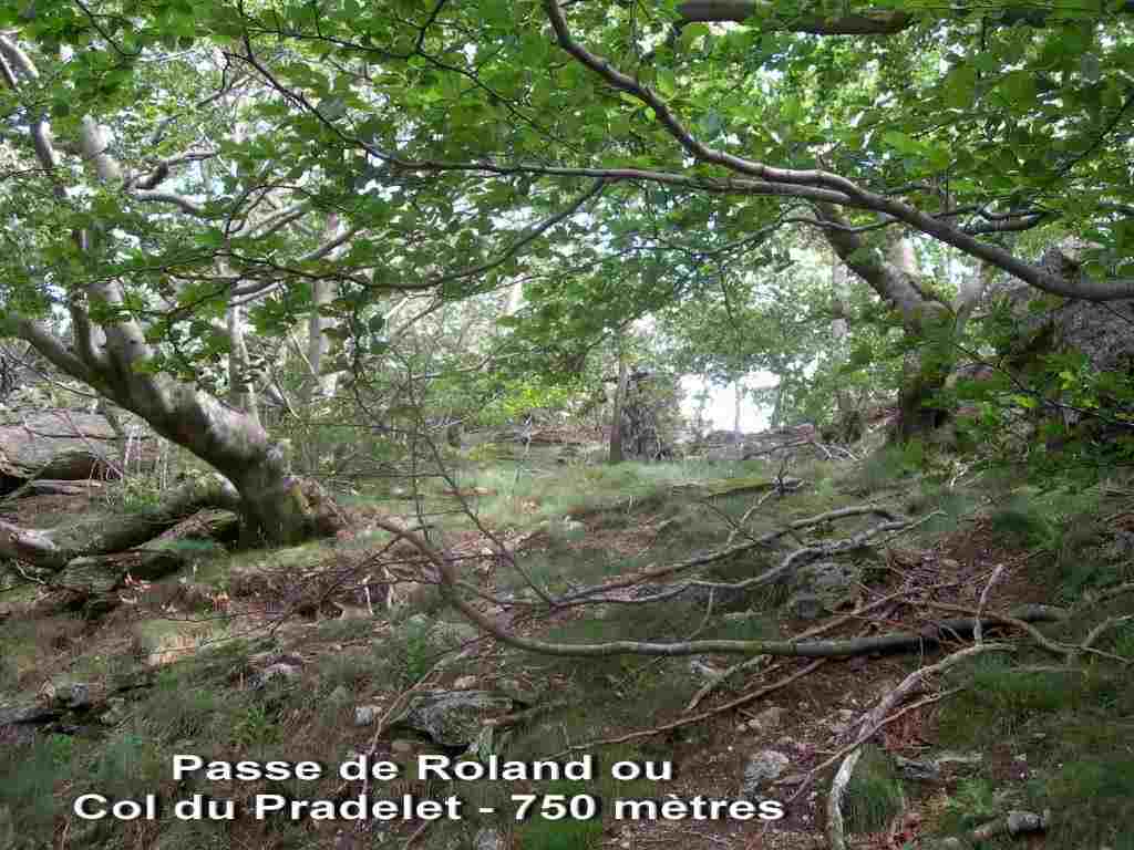 Passe de Roland ou Col du Pradelet - FR-34-0750