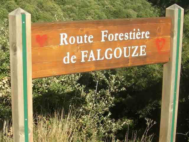 Route Forestière de Falgouze (Panneau)