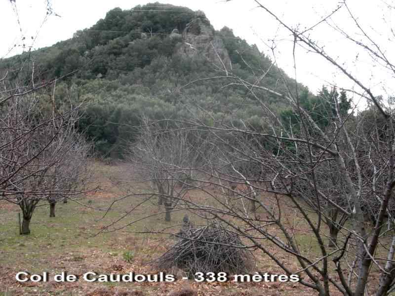 Col de Codouls - FR-34-0388 Vue générale
