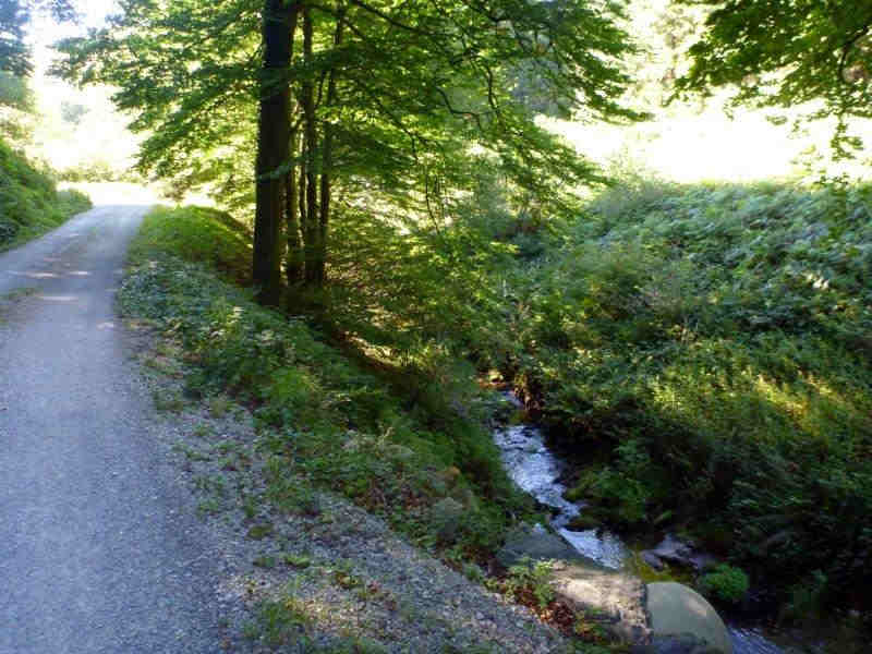 ruisseau faisant frontière entre le Tarn et l'Hérault