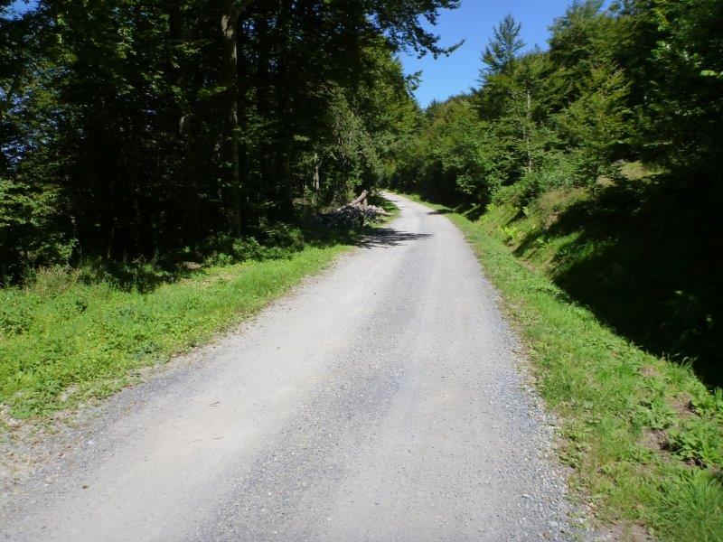 Route Forestière des Chômeurs