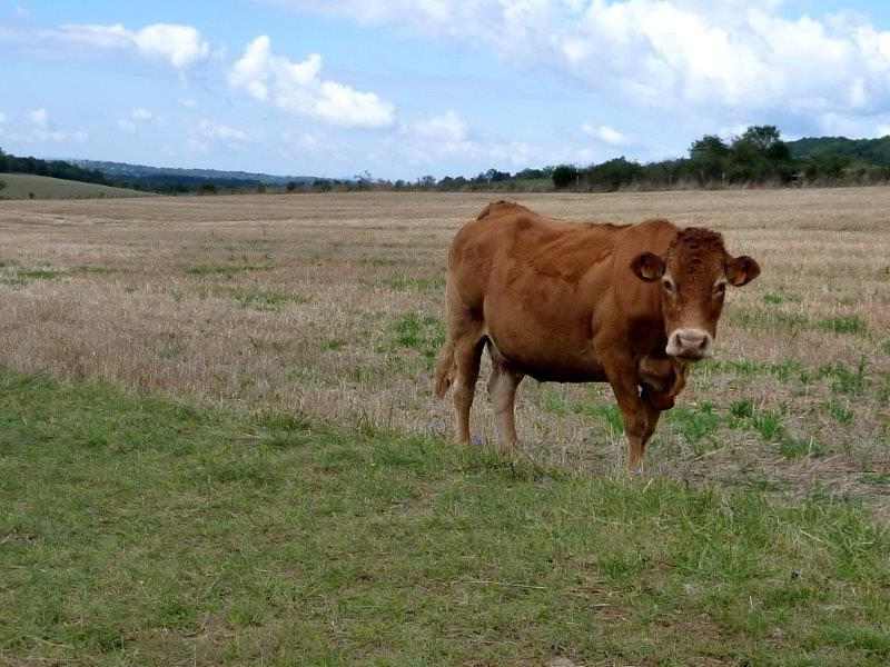 Agrandir l'image Voie Verte Altura