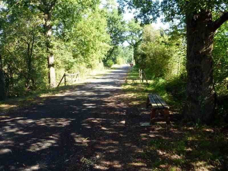 Agrandir l'image Chemin des Droits de l'Homme