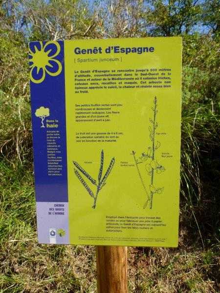 Agrandir l'image Panneau Genêt d'Espagne Chemin des Droits de l'Homme