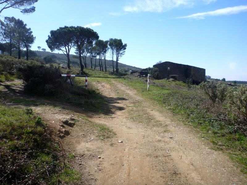 En direction du Coll del Bosc de la Margalla