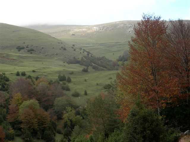 Panorama du du Coll de Jou - ES-GI-1630