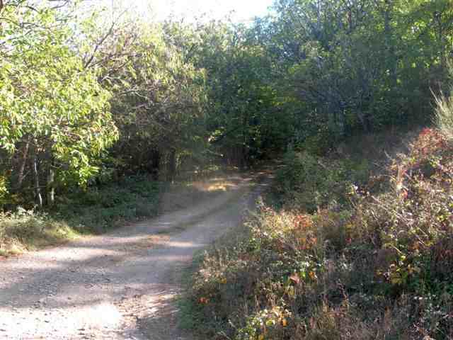 Route entre Lizarne et Fontclare à l'approche de l'embranchement vers le Col de Triby