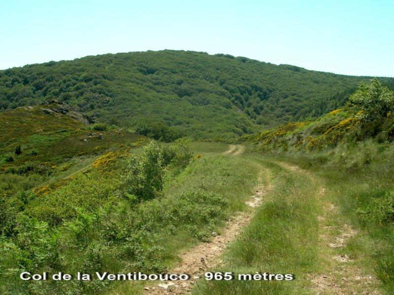 Col de la Ventibouco - FR-34-0965 c