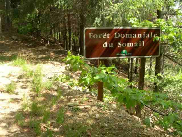 Forêt domaniale du Somail (Panneau)
