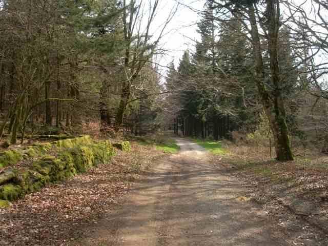 Chemin de Bourdelet