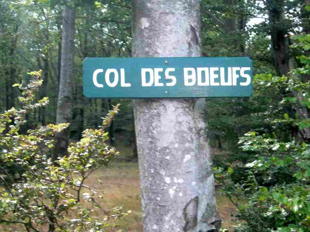 Col des Biaous - FR-34-0964 - Pancarte